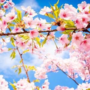 Meet your Posher, Anita